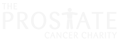 The Prostate Cancer Charity