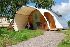 Middlewick's Glamping Cabins