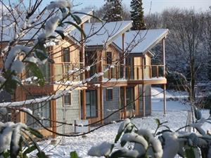 Woodland Homes at The Cornwall Hotel, Spa and Estate