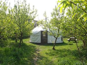 Anglesey Tipi and Yurt Holidays